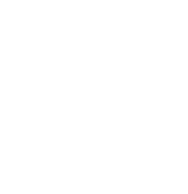 Direct Profi Icon